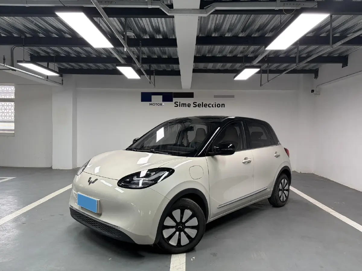 2024 WuLing BinGuo BEV 31.9KWH