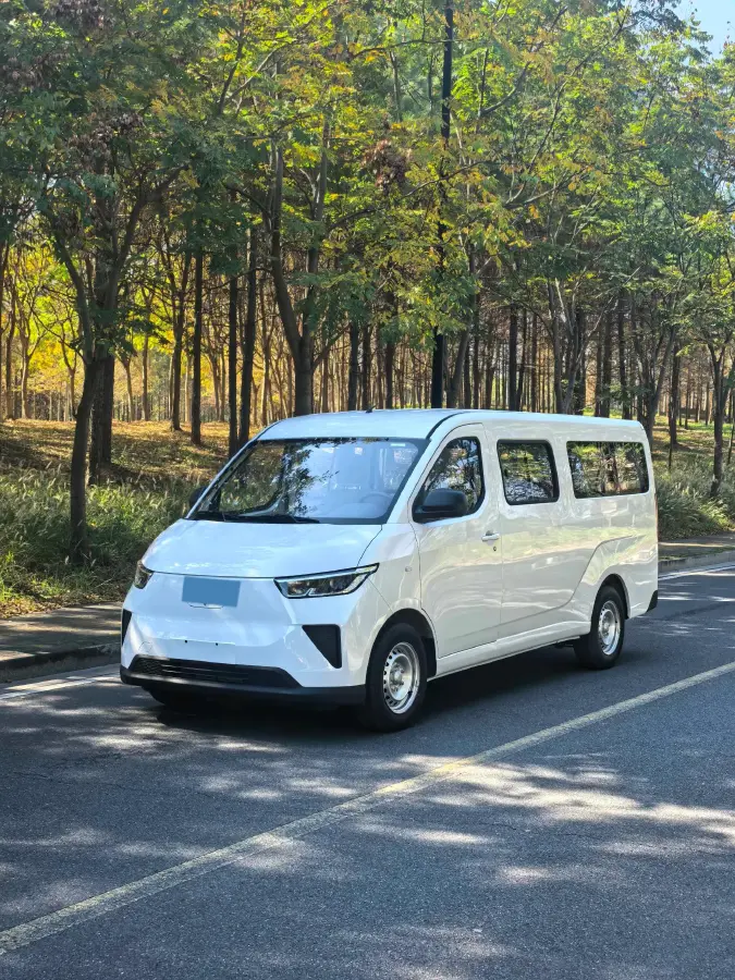 2024 WuLing YangGuang BEV 41.9KWH