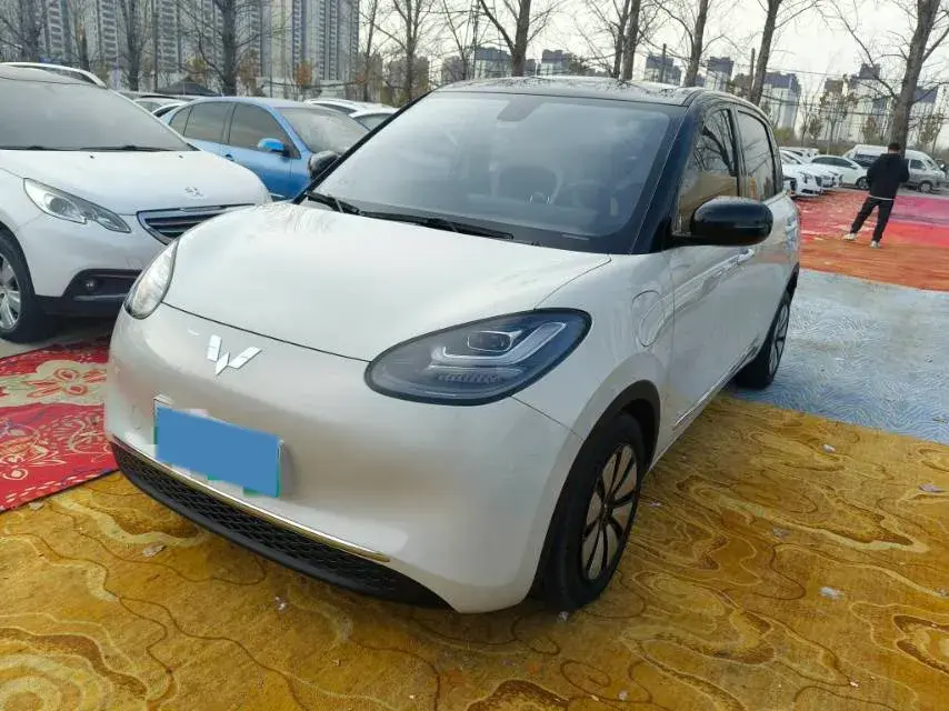 2023 WuLing BinGuo BEV 37.9KWH