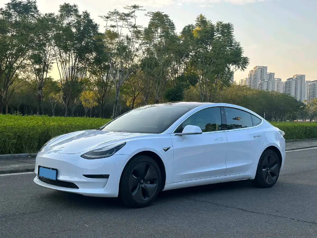 2019 Tesla Model 3 BEV 81KWH 2019 Tesla Model 3 BEV 81KWH