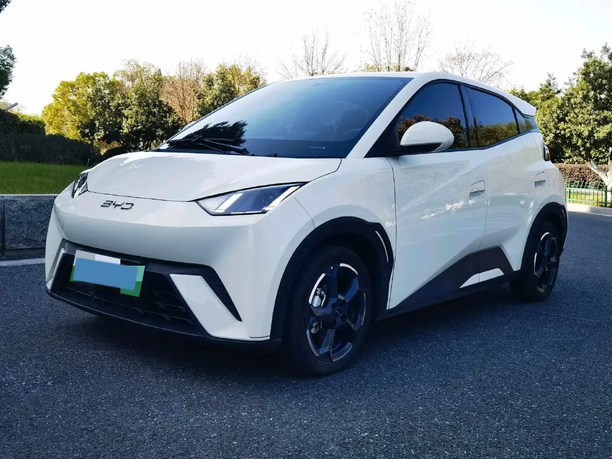 2024 BYD Seagull BEV 30.08KWH