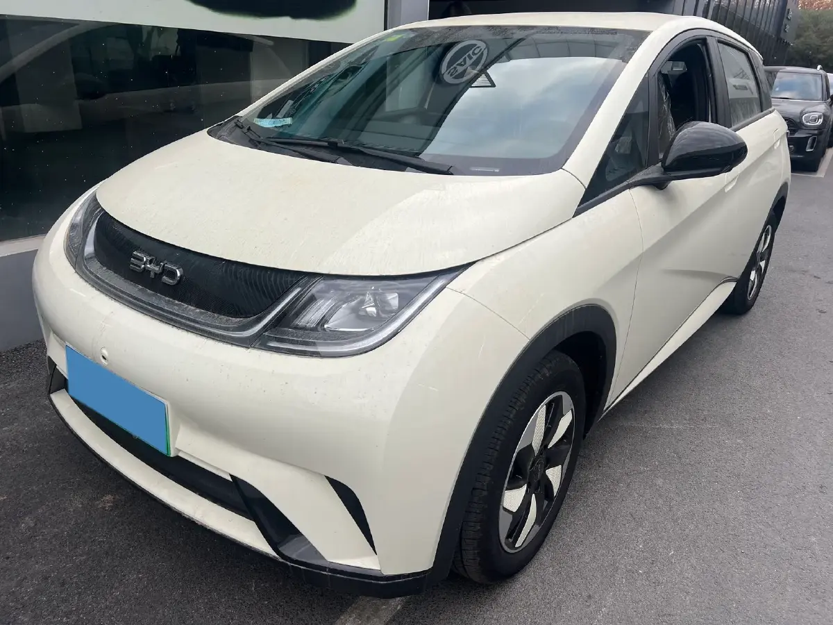 2025 BYD Dolphin BEV 44.928KWH
