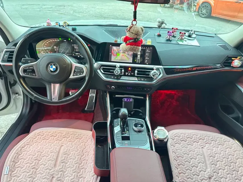 2021 BMW 3 Series 2.0T 156HP L4 8AT,autocango,china used car exporter,china ev exporter,chinese used car exporter,chinese used ev exporter