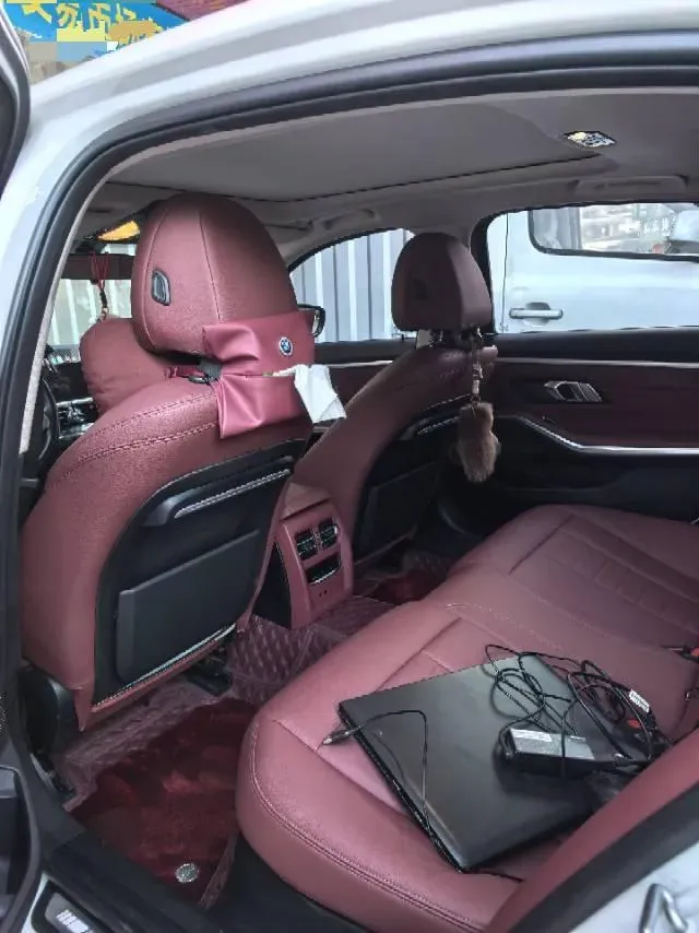 2021 BMW 3 Series 2.0T 156HP L4 8AT,autocango,china used car exporter,china ev exporter,chinese used car exporter,chinese used ev exporter