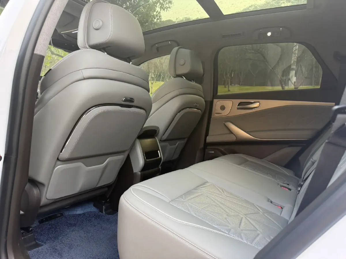 2023 Denza N8 1.5T 139HP L4 E-CVT PHEV 45.8KWH,autocango,china used car exporter,china ev exporter,chinese used car exporter,chinese used ev exporter