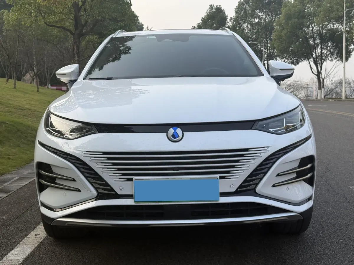 2023 Denza N8 1.5T 139HP L4 E-CVT PHEV 45.8KWH,autocango,china used car exporter,china ev exporter,chinese used car exporter,chinese used ev exporter