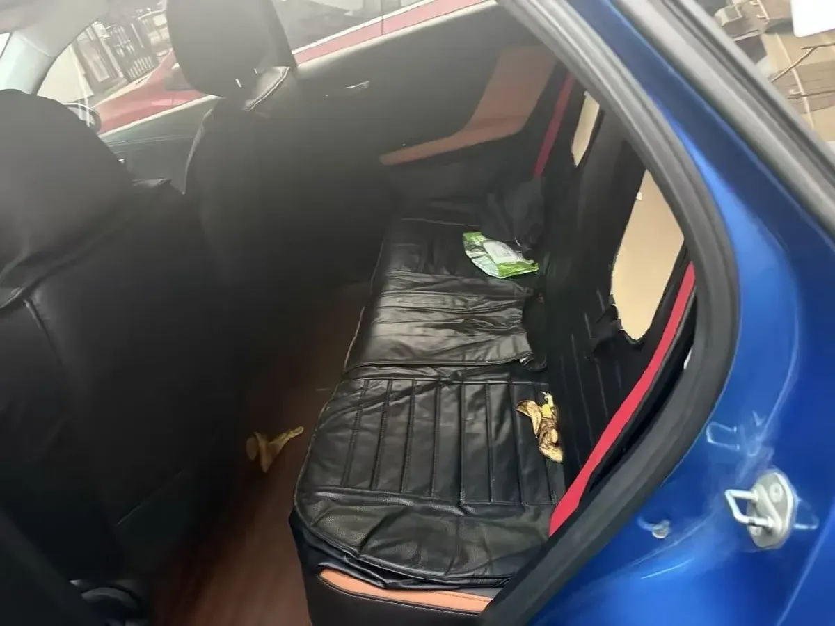 2019 BYD e2 BEV 47.3KWH,autocango,china used car exporter,china ev exporter,chinese used car exporter,chinese used ev exporter