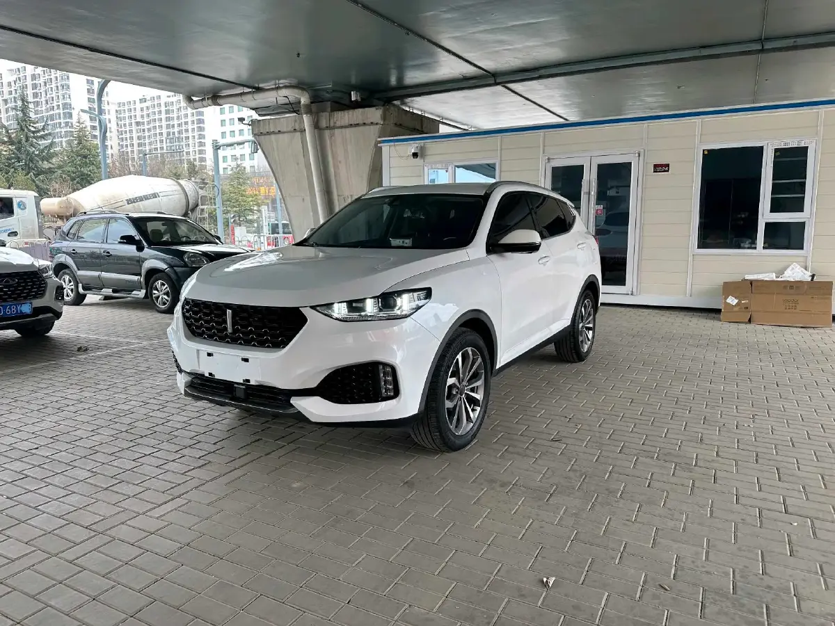 2018 WEY VV6 2.0T 197HP L4 7DCT