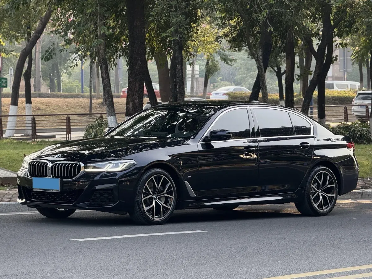 2021 BMW 5 Series 2.0T 252HP L4 8AT,autocango,china used car exporter,china ev exporter,chinese used car exporter,chinese used ev exporter