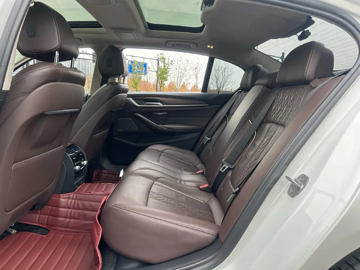 2020 BMW 5 Series 2.0T 252HP L4 8AT,autocango,china used car exporter,china ev exporter,chinese used car exporter,chinese used ev exporter