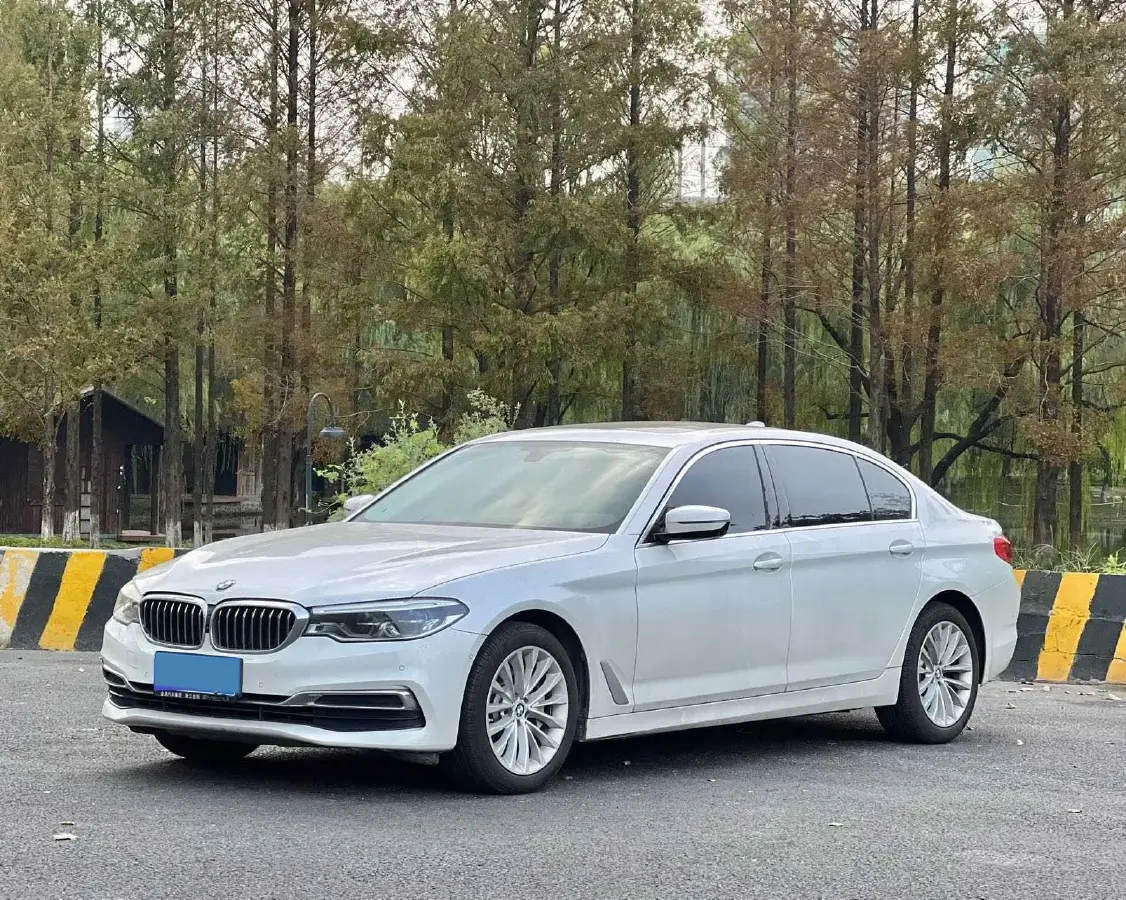 2020 BMW 5 Series 2.0T 252HP L4 8AT