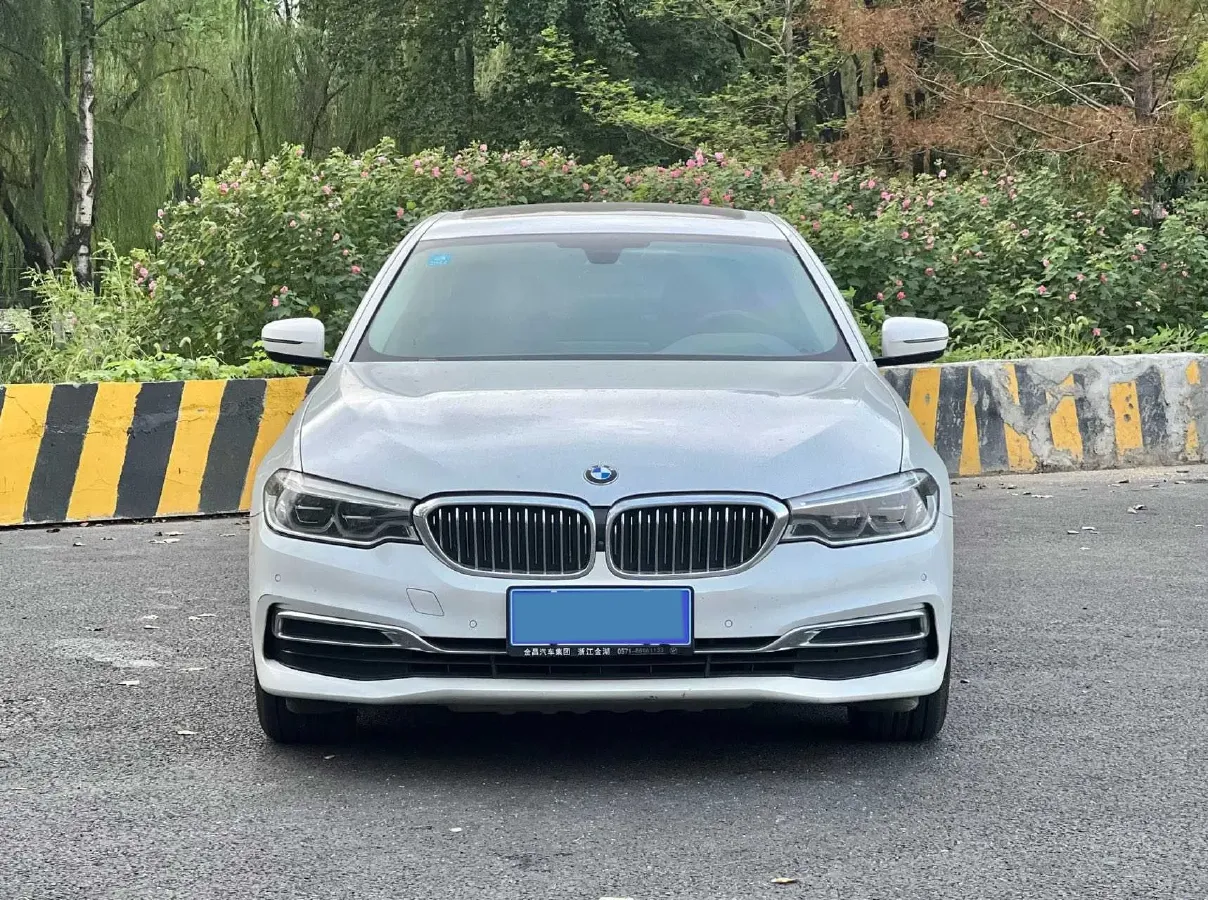 2020 BMW 5 Series 2.0T 252HP L4 8AT,autocango,china used car exporter,china ev exporter,chinese used car exporter,chinese used ev exporter