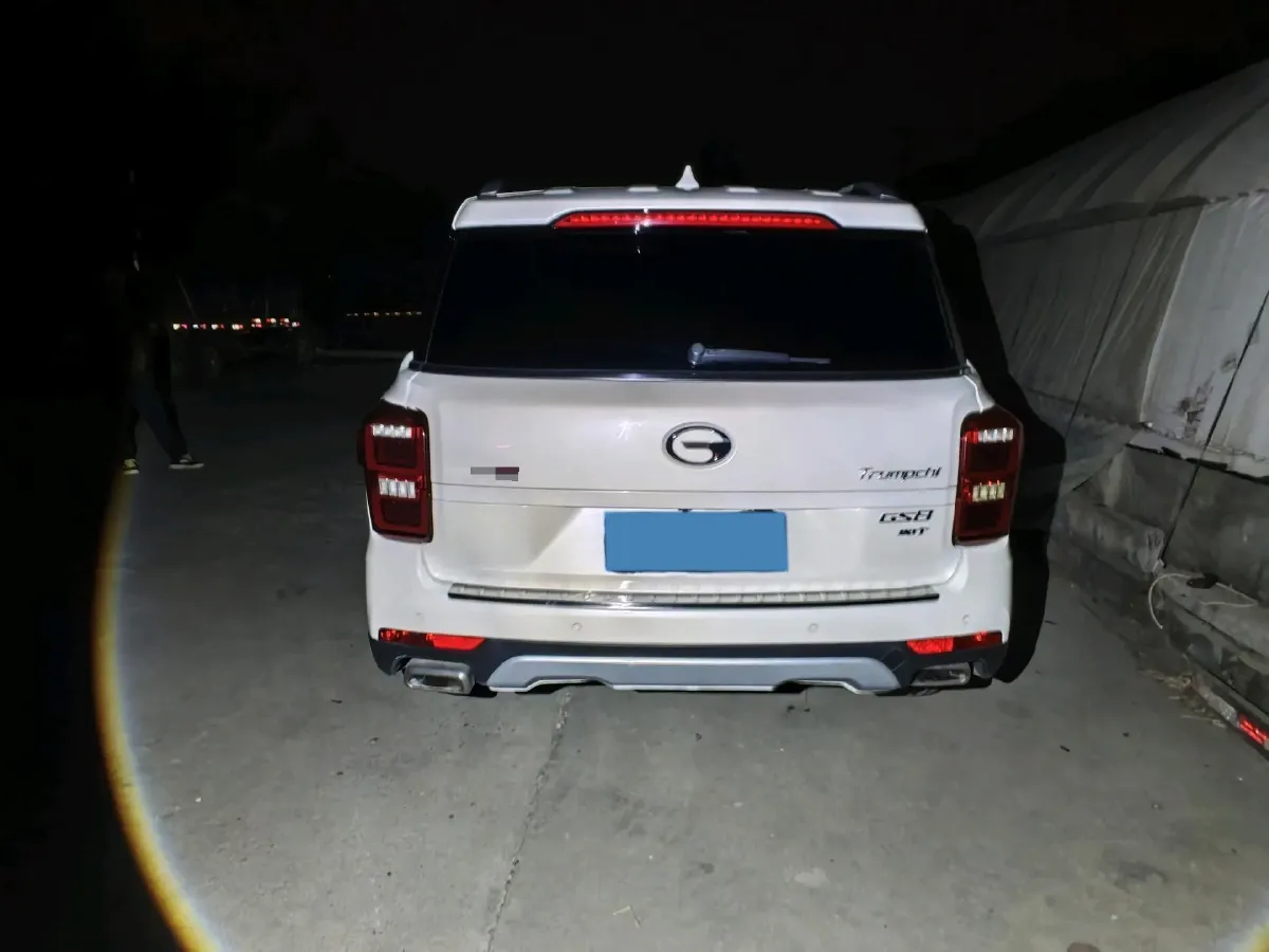 2019 GAC Trumpchi GS8 2.0T 252HP L4 6AT,autocango,china used car exporter,china ev exporter,chinese used car exporter,chinese used ev exporter