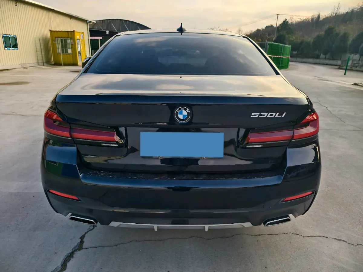 2021 BMW 5 Series 2.0T 252HP L4 8AT,autocango,china used car exporter,china ev exporter,chinese used car exporter,chinese used ev exporter