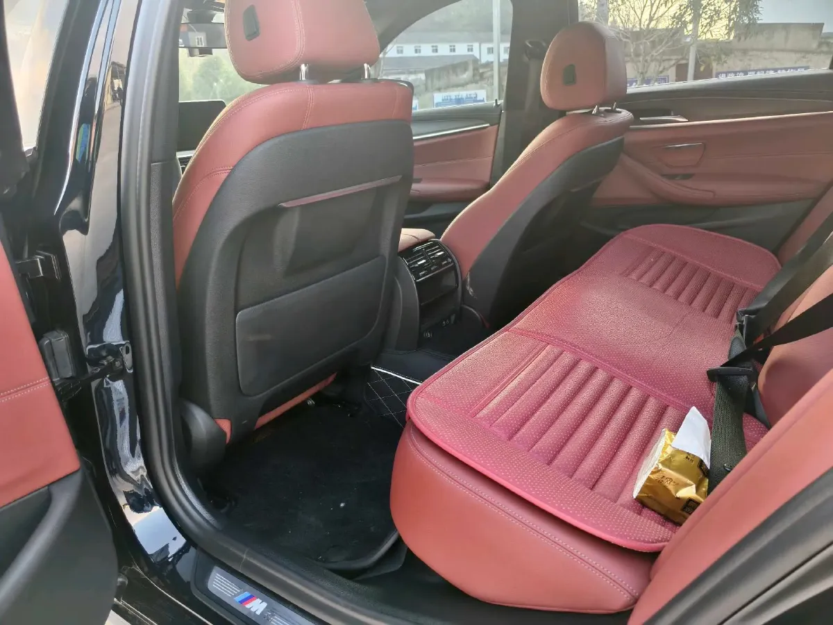 2021 BMW 5 Series 2.0T 252HP L4 8AT,autocango,china used car exporter,china ev exporter,chinese used car exporter,chinese used ev exporter