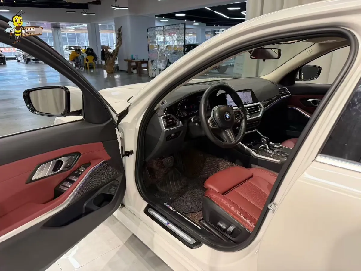 2022 BMW 3 Series 2.0T 184HP L4 8AT,autocango,china used car exporter,china ev exporter,chinese used car exporter,chinese used ev exporter