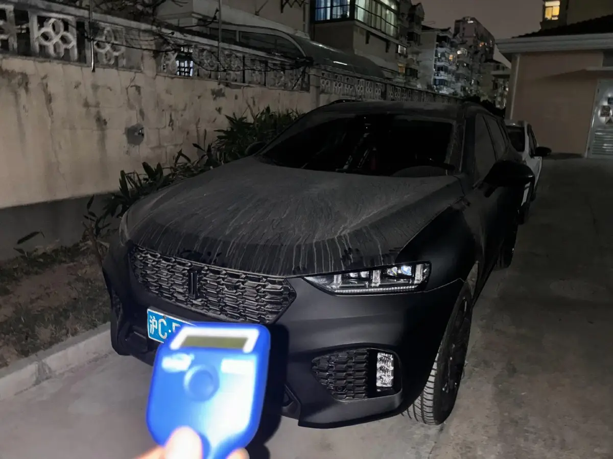 2017 WEY VV7 2.0T 234HP L4 7DCT