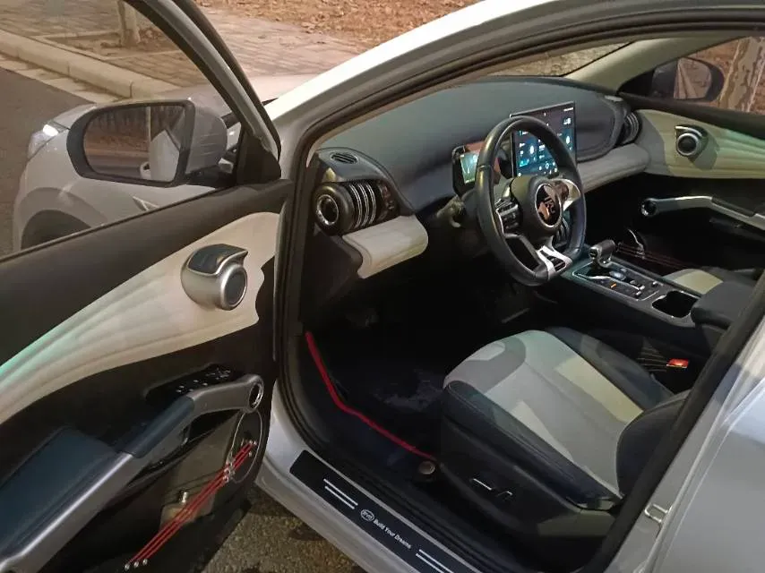 2023 BYD Yuan Plus BEV 49.92KWH,autocango,china used car exporter,china ev exporter,chinese used car exporter,chinese used ev exporter