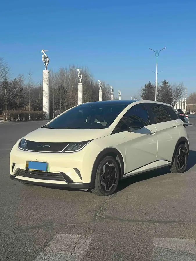 2021 BYD Yuan Pro BEV 50.1KWH