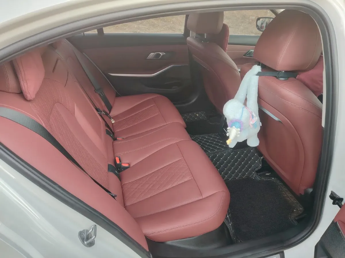 2023 BMW 3 Series 2.0T 184HP L4 8AT,autocango,china used car exporter,china ev exporter,chinese used car exporter,chinese used ev exporter