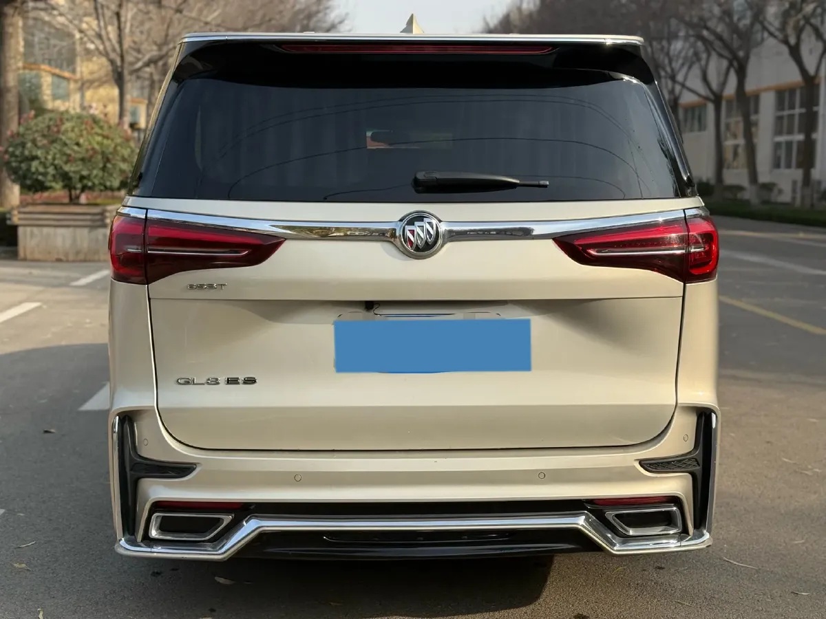 2020 Buick GL8 2.0T 237HP L4 9AT,autocango,china used car exporter,china ev exporter,chinese used car exporter,chinese used ev exporter