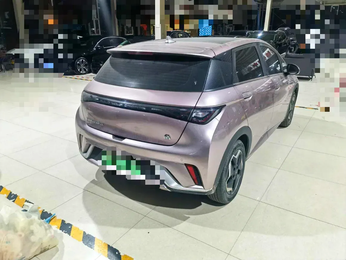 2021 BYD Yuan Pro BEV 50.1KWH,autocango,china used car exporter,china ev exporter,chinese used car exporter,chinese used ev exporter