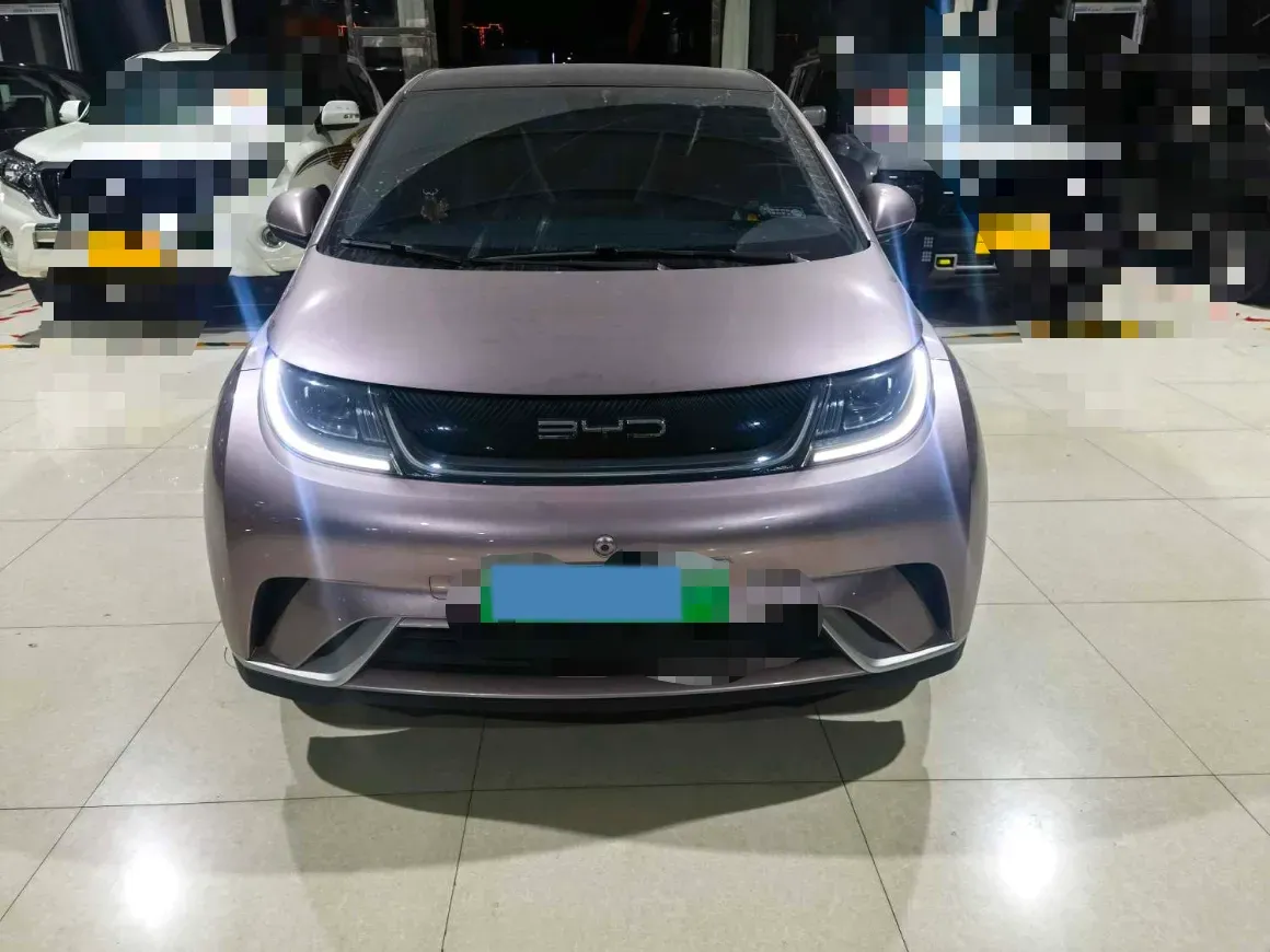 2021 BYD Yuan Pro BEV 50.1KWH,autocango,china used car exporter,china ev exporter,chinese used car exporter,chinese used ev exporter