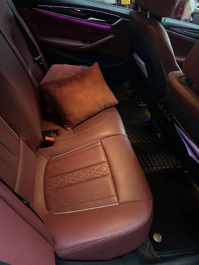 2021 BMW 5 Series 2.0T 184HP L4 8AT,autocango,china used car exporter,china ev exporter,chinese used car exporter,chinese used ev exporter