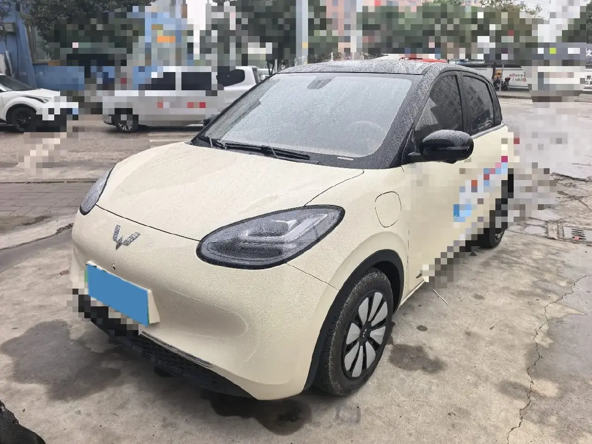 2025 WuLing BinGuo BEV