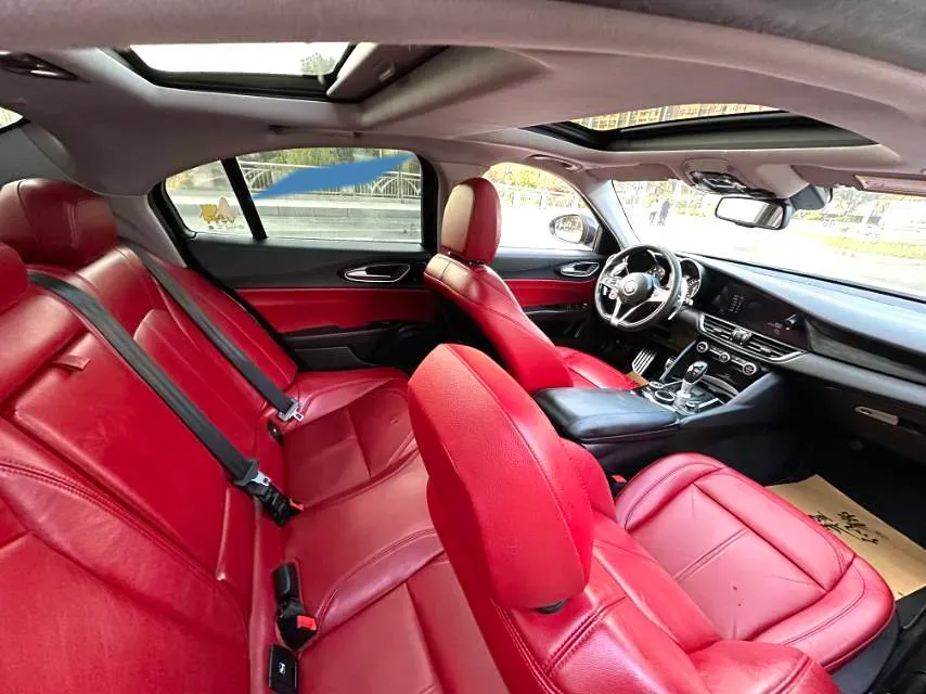 2017 Ford Mustang 2.3T 314HP L4 6AT,autocango,china used car exporter,china ev exporter,chinese used car exporter,chinese used ev exporter