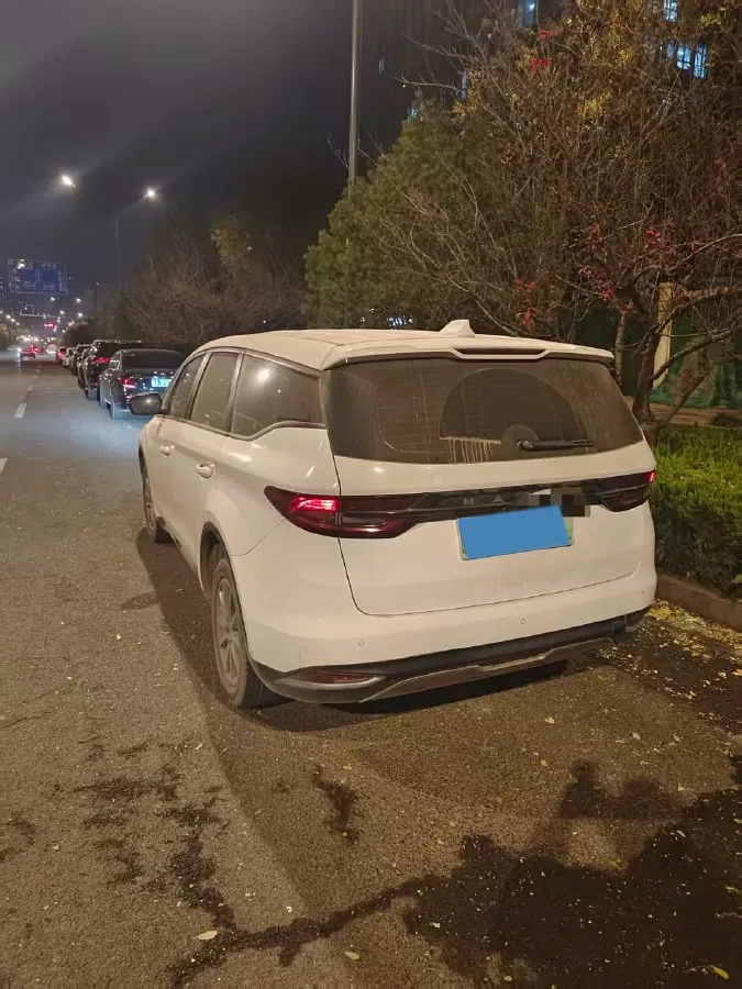 2021 Livan Maple 80v BEV,autocango,china used car exporter,china ev exporter,chinese used car exporter,chinese used ev exporter