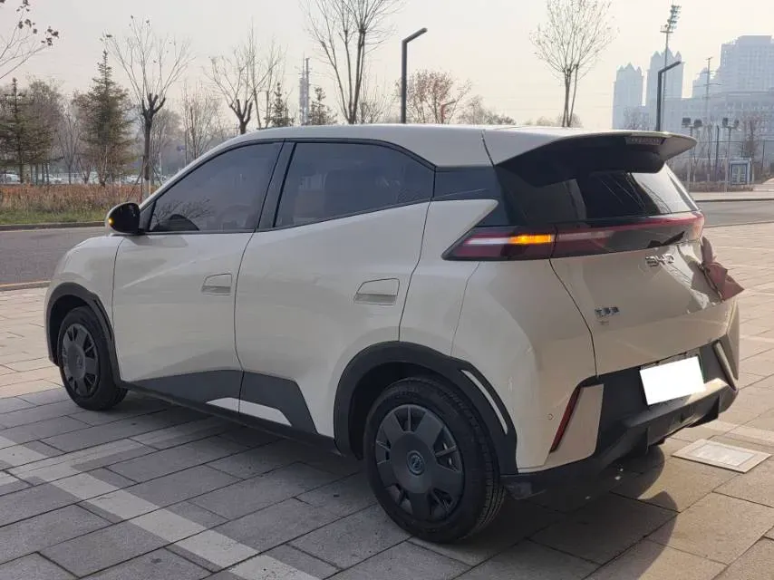 2023 BYD Seagull BEV 30.08KWH,autocango,china used car exporter,china ev exporter,chinese used car exporter,chinese used ev exporter