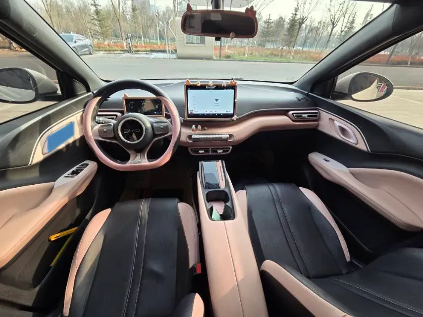 2023 BYD Seagull BEV 30.08KWH,autocango,china used car exporter,china ev exporter,chinese used car exporter,chinese used ev exporter