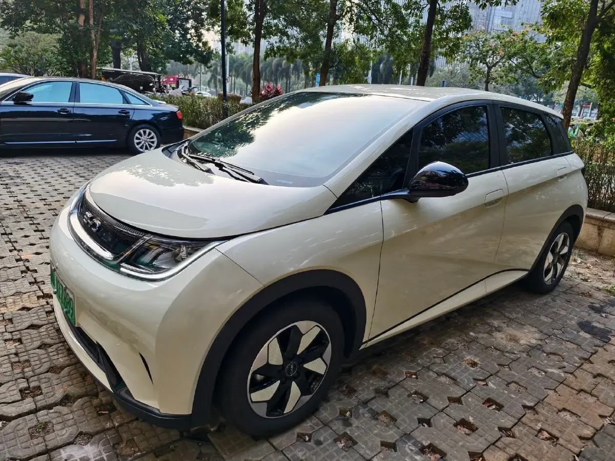 2024 BYD Dolphin BEV 44.928KWH