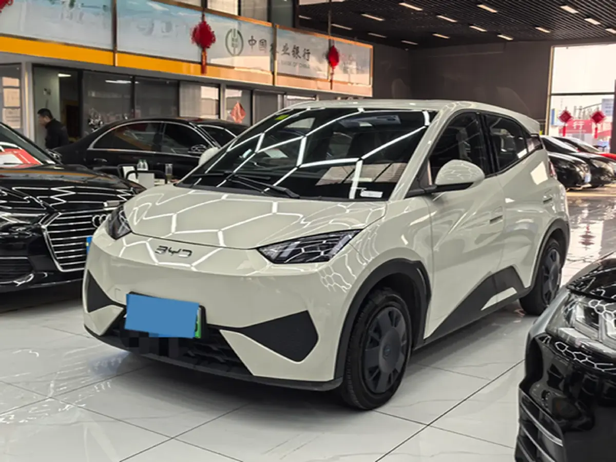 2025 BYD Seagull BEV 30.08KWH