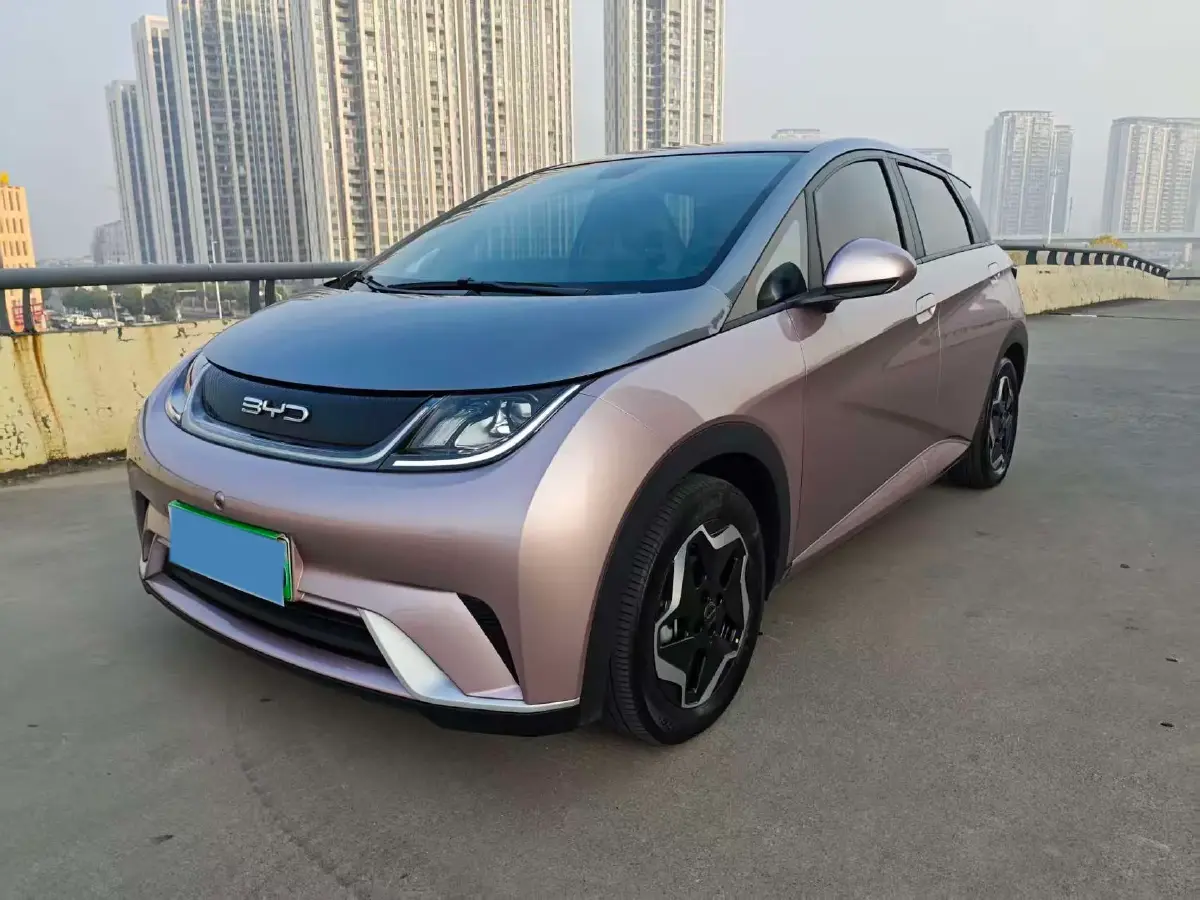 2021 BYD Yuan Pro BEV 50.1KWH
