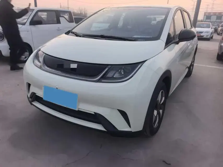 2025 BYD Dolphin BEV 44.928KWH