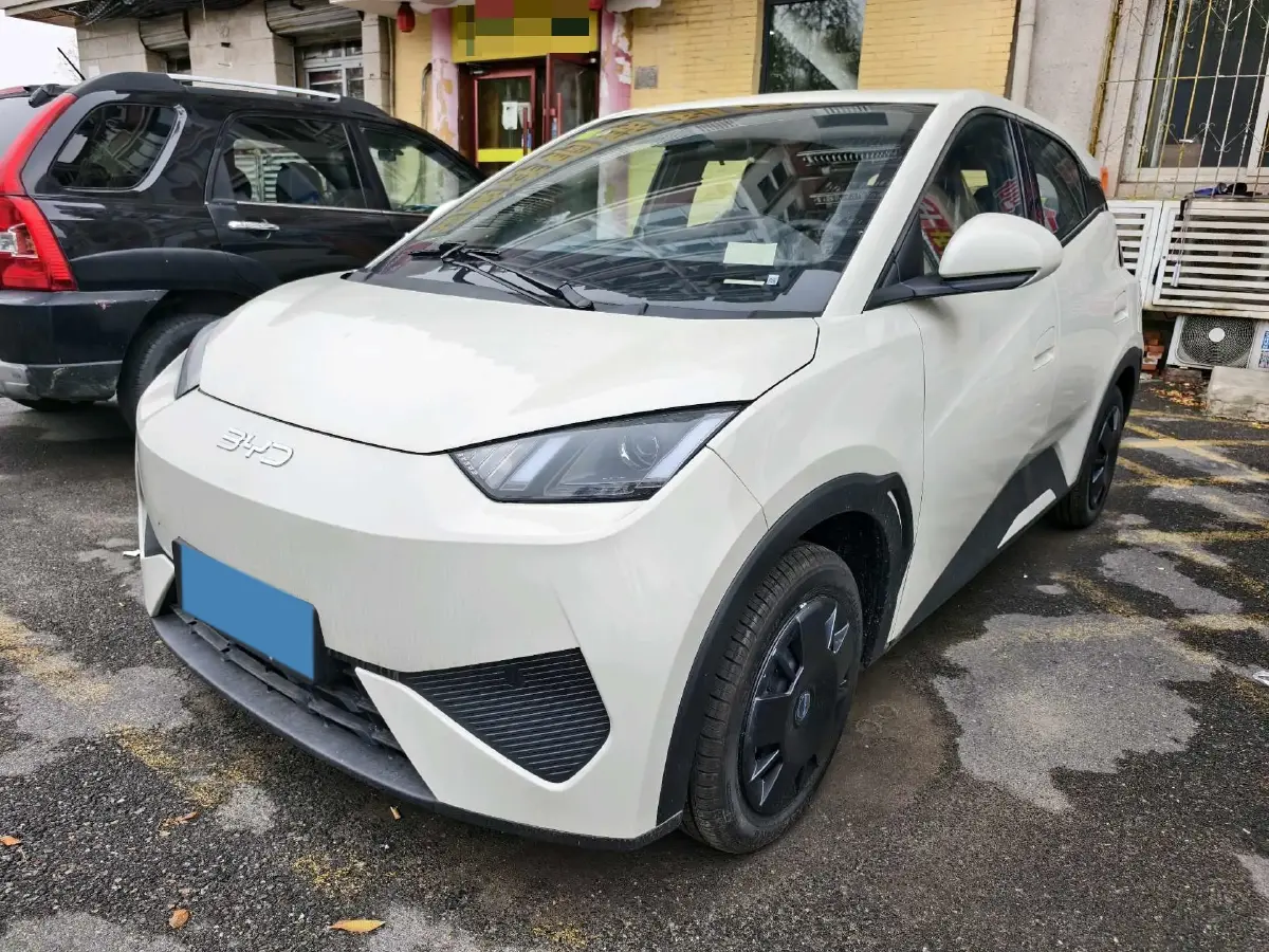 2025 BYD Seagull BEV 30.08KWH