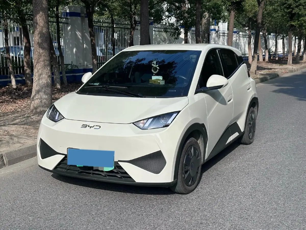 2025 BYD Seagull BEV 30.08KWH