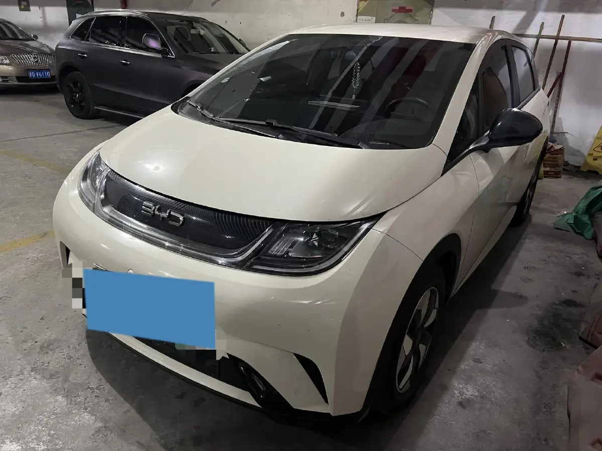 2024 BYD Dolphin BEV 44.928KWH
