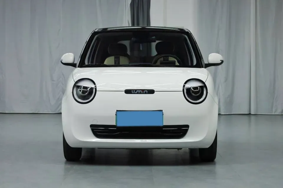 2024 ChangAn QiYuan Lumin BEV 28.08KWH,autocango,china used car exporter,china ev exporter,chinese used car exporter,chinese used ev exporter