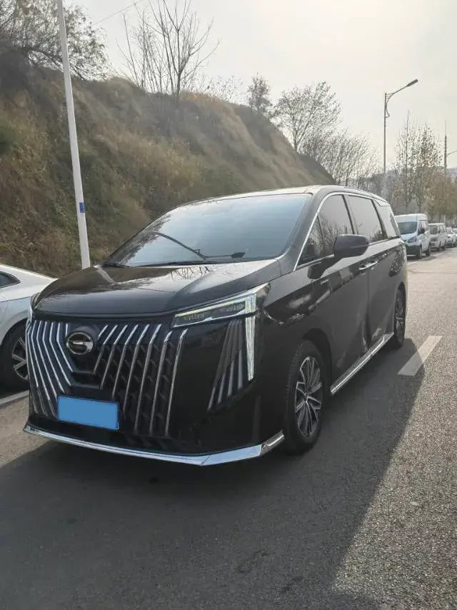 2024 GAC Trumpchi M8 2.0T 252HP L4 8AT