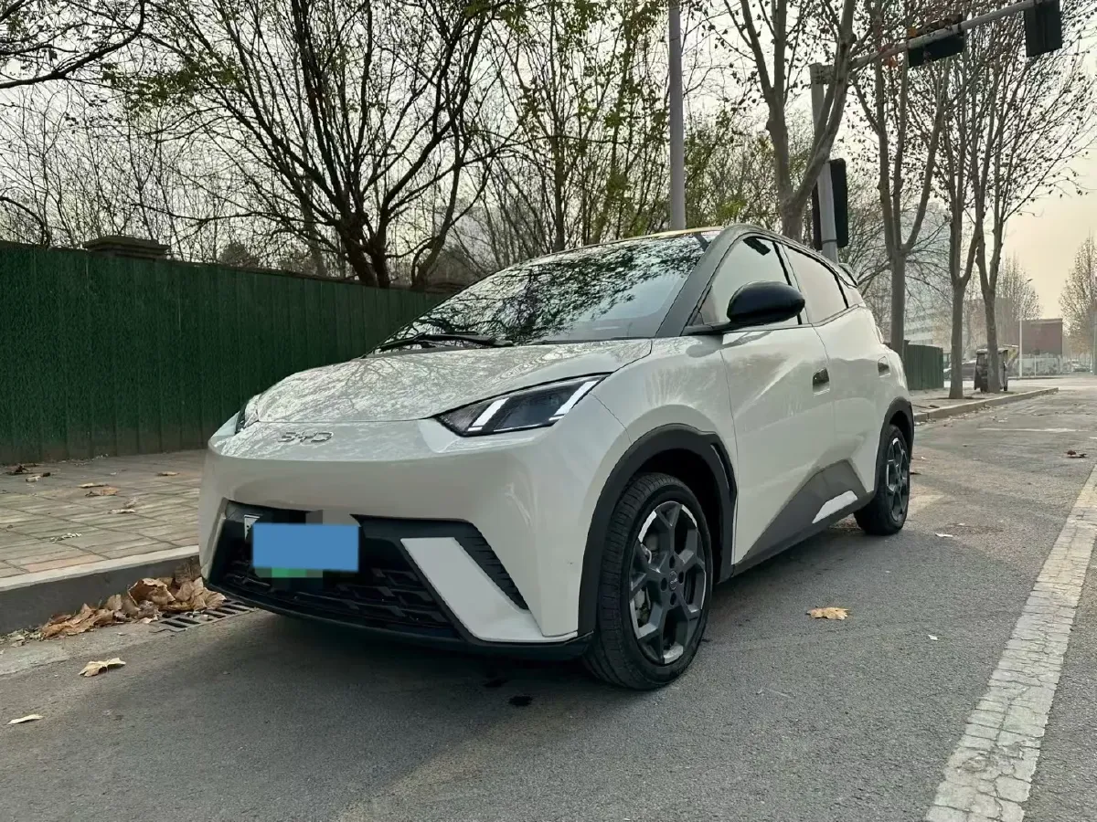 2025 BYD Seagull BEV 30.08KWH,autocango,china used car exporter,china ev exporter,chinese used car exporter,chinese used ev exporter
