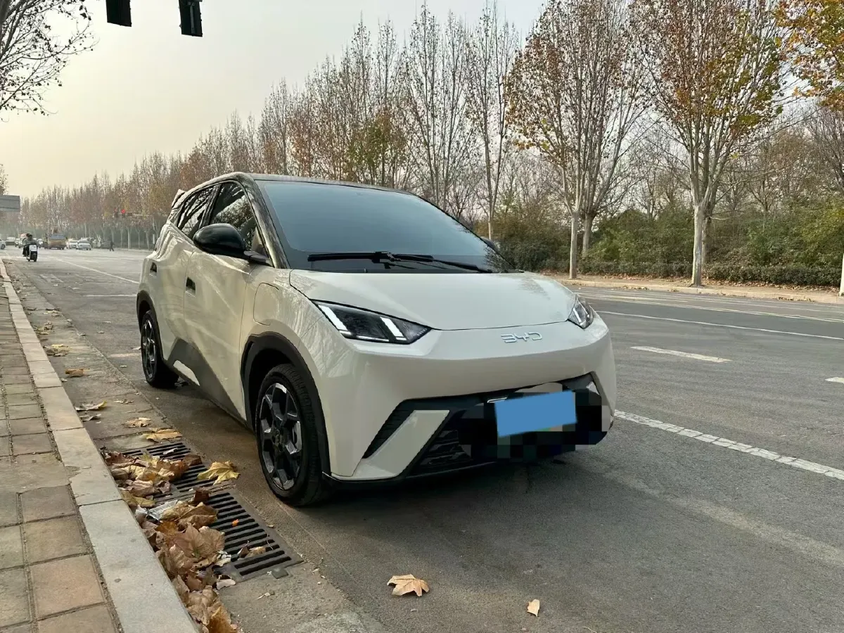 2025 BYD Seagull BEV 30.08KWH,autocango,china used car exporter,china ev exporter,chinese used car exporter,chinese used ev exporter