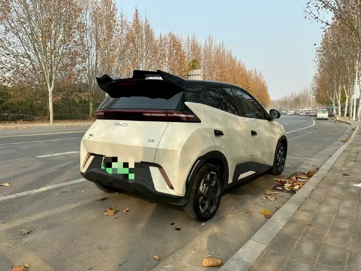 2025 BYD Seagull BEV 30.08KWH,autocango,china used car exporter,china ev exporter,chinese used car exporter,chinese used ev exporter