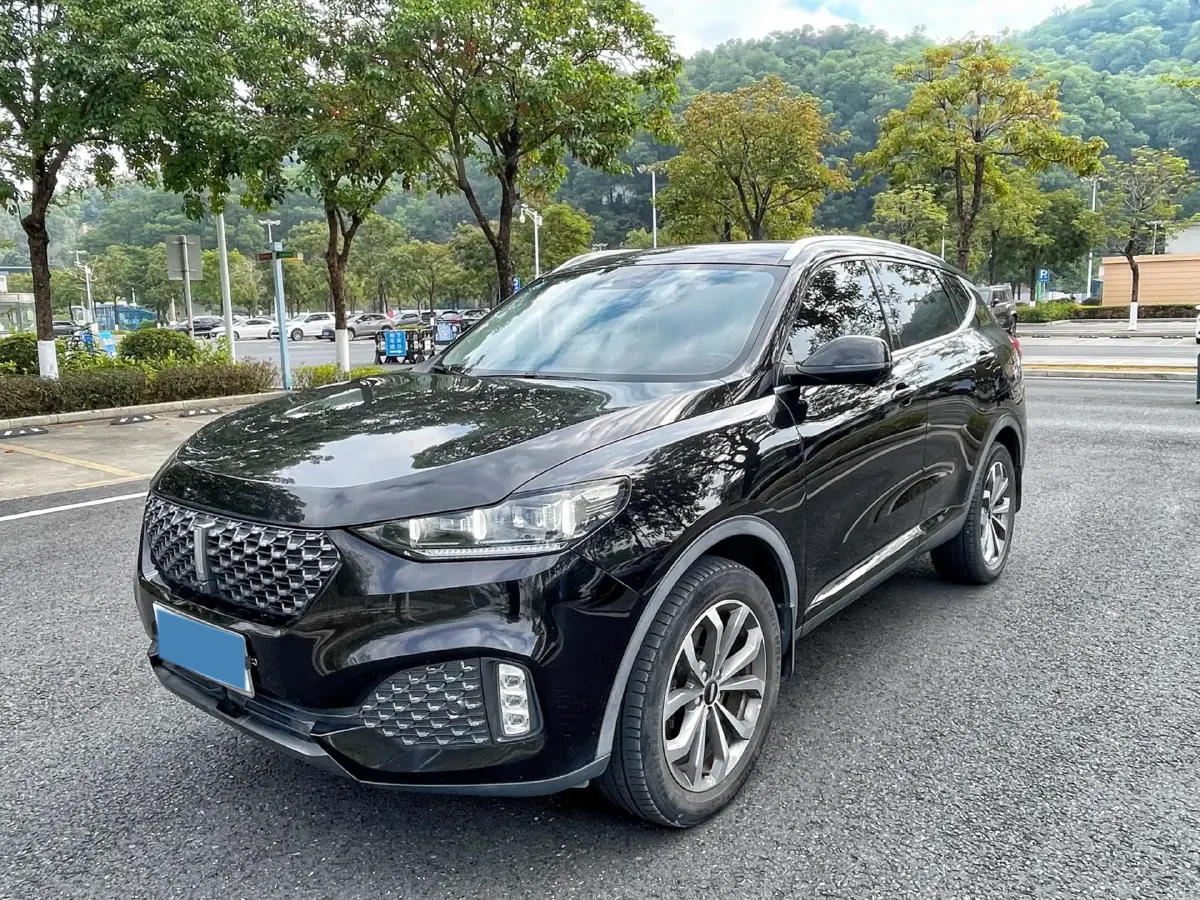 2020 WEY VV6 2.0T 227HP L4 7DCT