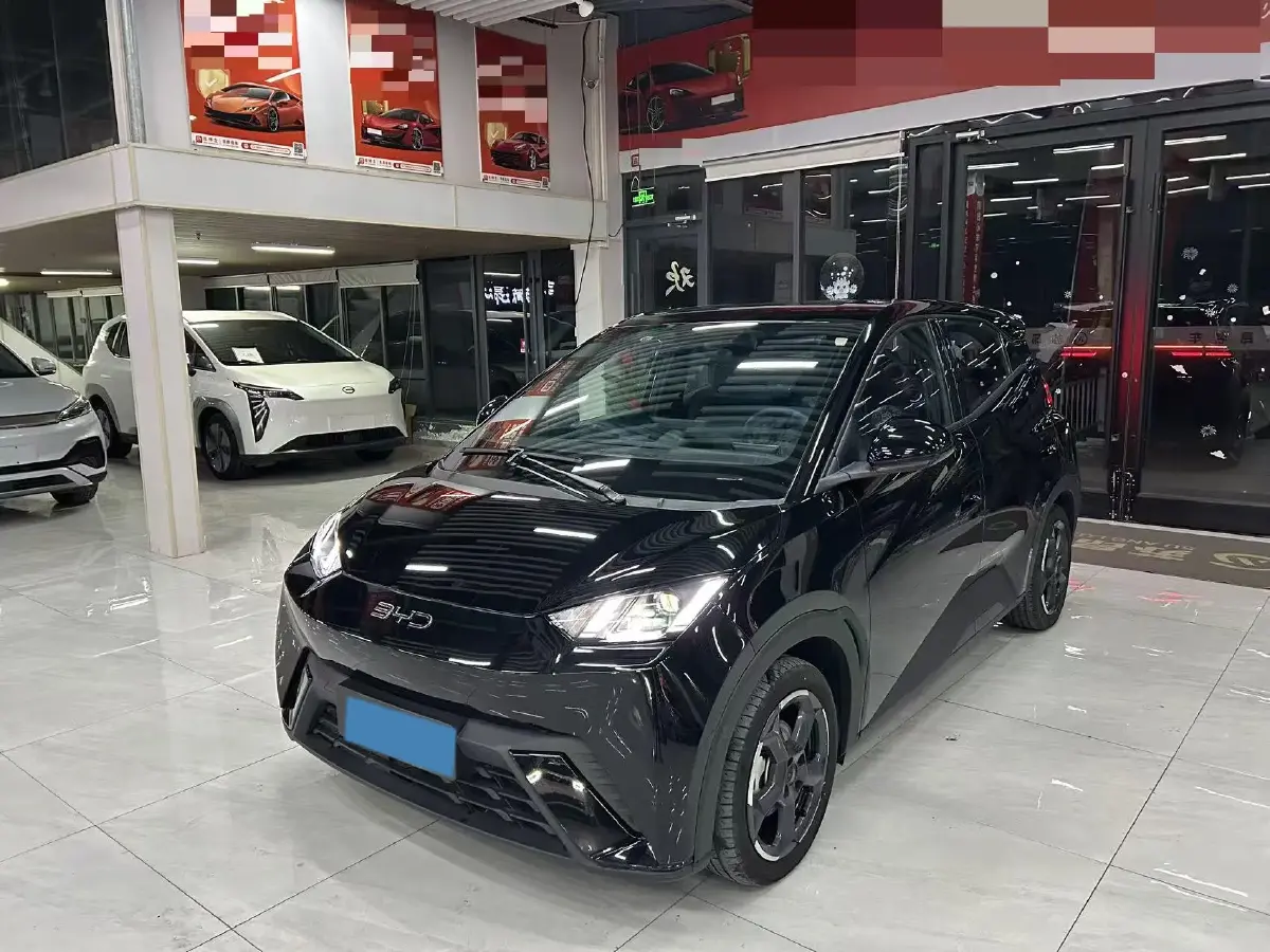 2024 BYD Seagull BEV 38.88KWH