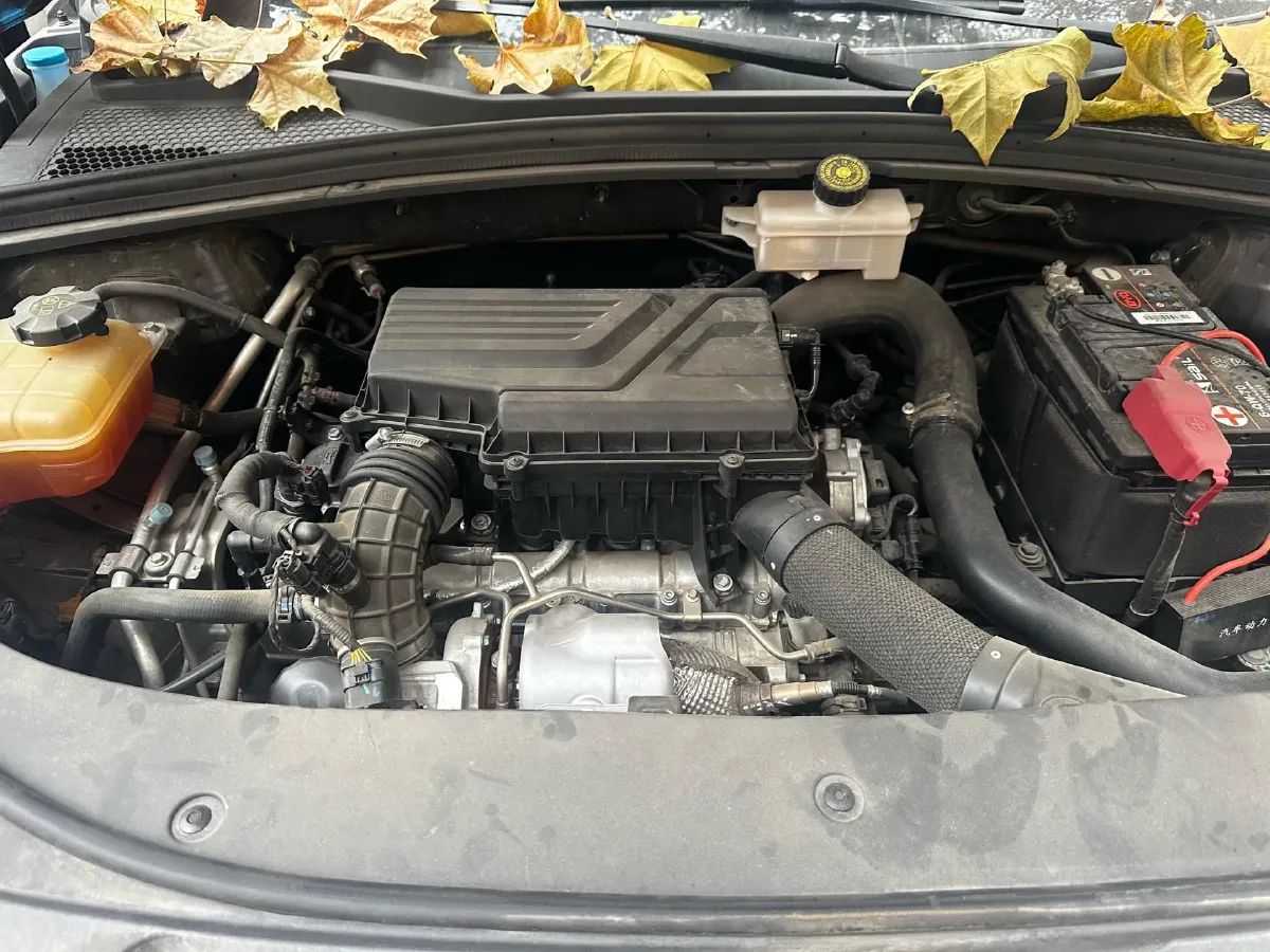 2020 BYD Song Plus 1.5T 185HP L4 7DCT,autocango,china used car exporter,china ev exporter,chinese used car exporter,chinese used ev exporter