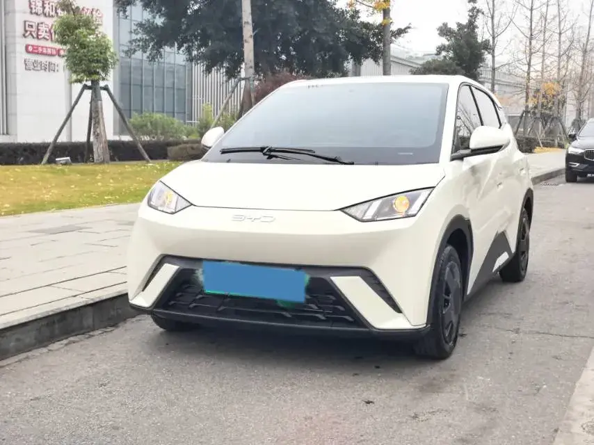 2024 BYD Seagull BEV 30.08KWH