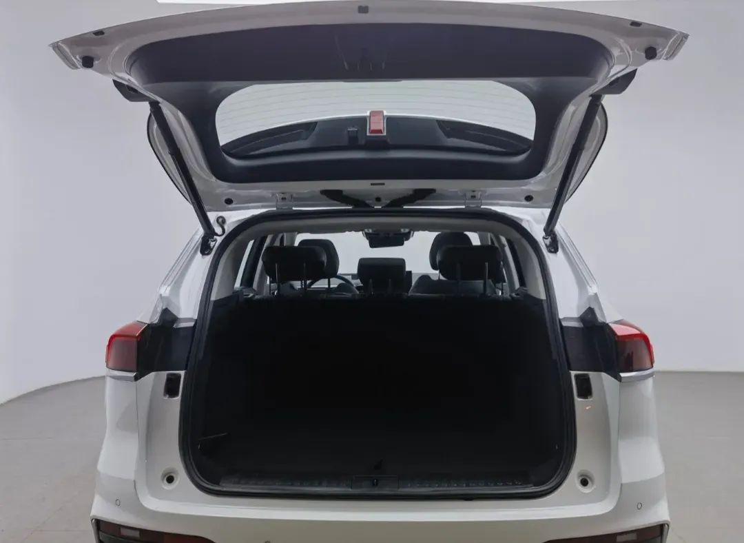 2022 WEY Latte 1.5T 156HP L4 2DHT PHEV 34KWH,autocango,china used car exporter,china ev exporter,chinese used car exporter,chinese used ev exporter